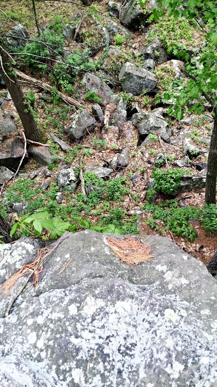 Off the beaten path. Devils Lake trails