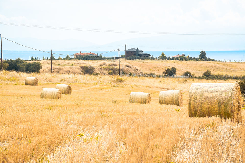 Golden Hay Bales Field Landscape
