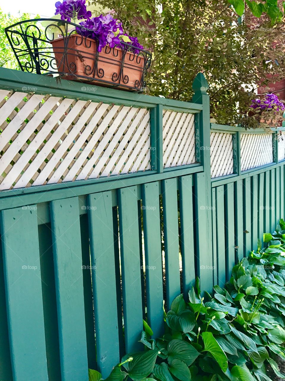 Green Wooden Fence