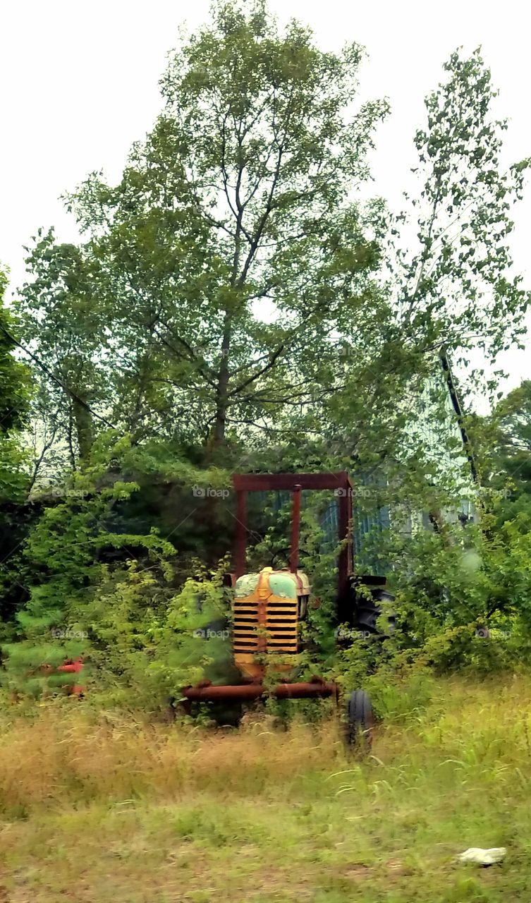 Engine of old tractor only thing left.