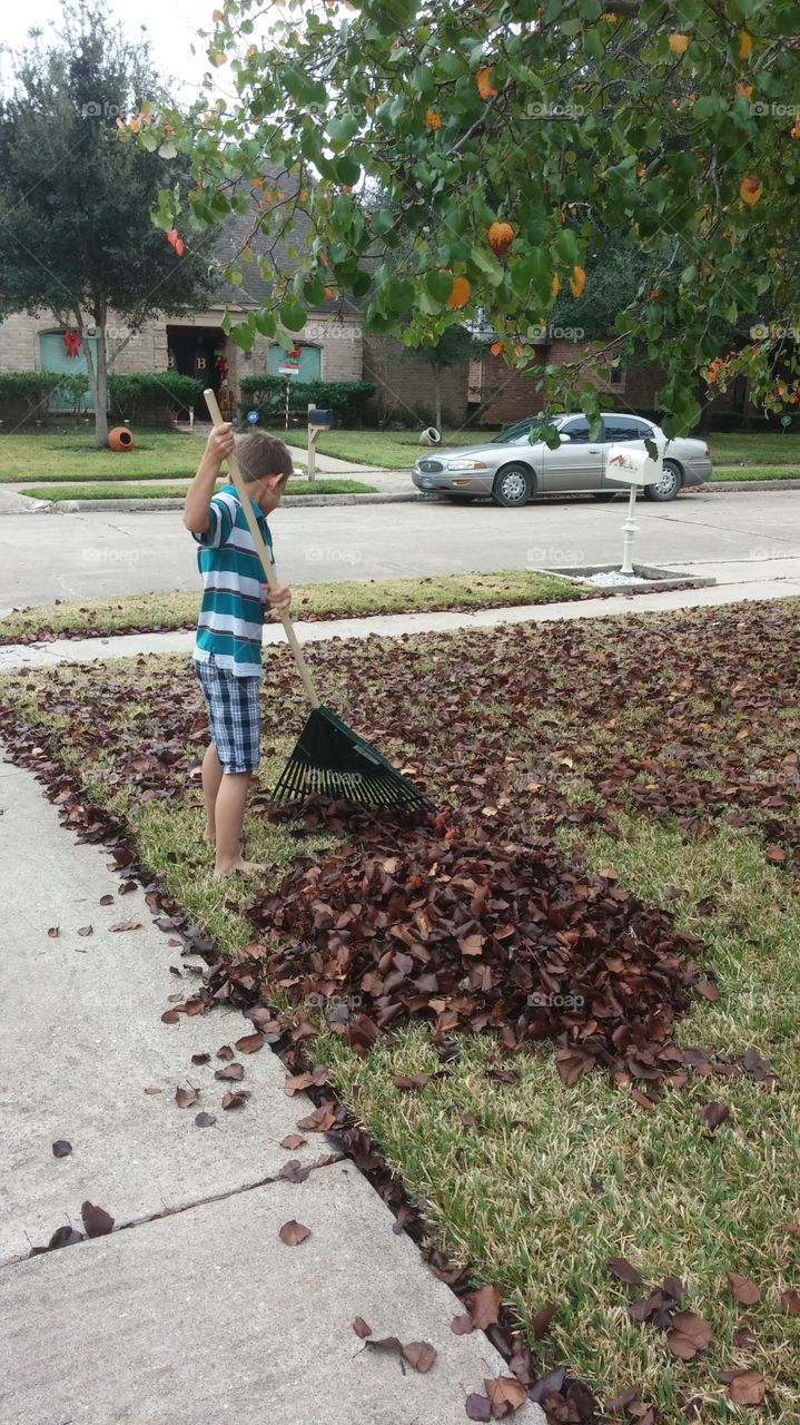 Yard Work. We don't get seasons in south Texas, so raking leaves is a novelty.