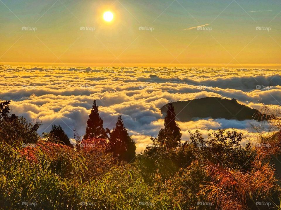 Beautiful mountain and sea of clouds natural landscape