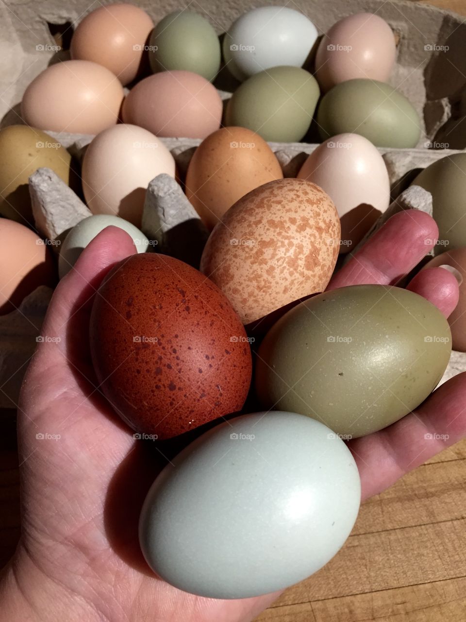 An everchanging bounty of an egg basket. Natural Rainbow eggs.