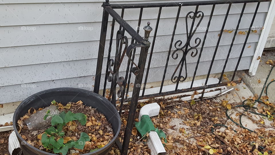 An iron half fence on the sidewalk next to our garage. Leaves are everywhere, there's a flower pot with weeds growing inside it. The house has blue siding.