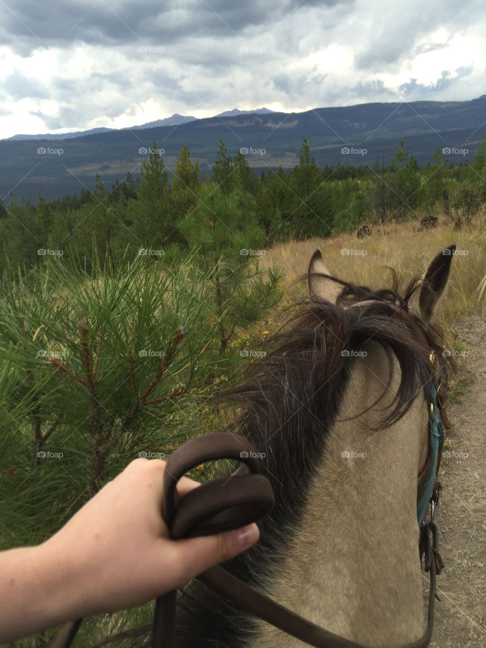 Horseback riding in the mountains 