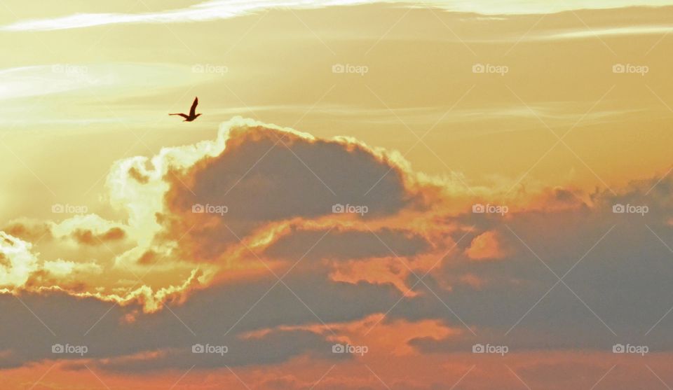 Torkö, Ronneby, Sweden