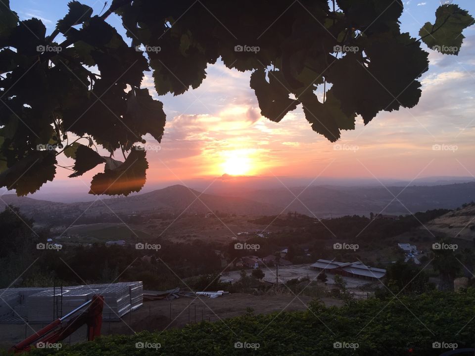 This sunrise was taken over part of San Marcos in California through a group of trees. It also overlooks part of the city.
