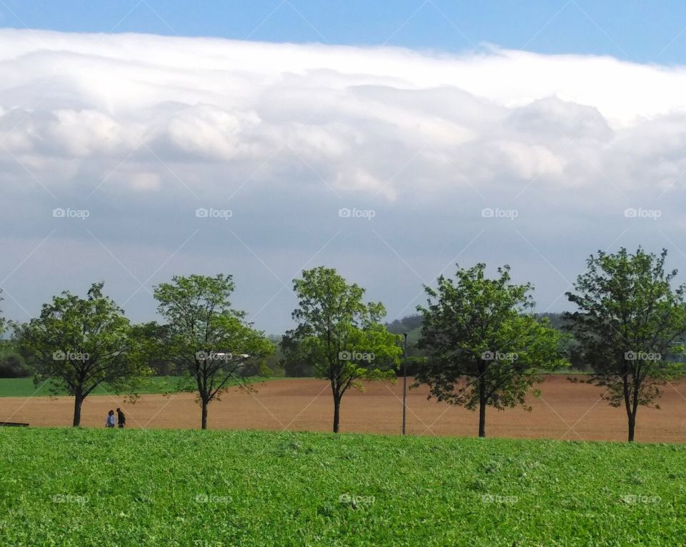 Allee mit Wolken