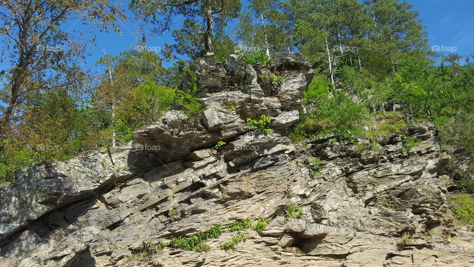 Rocky Mountain cliff with trees