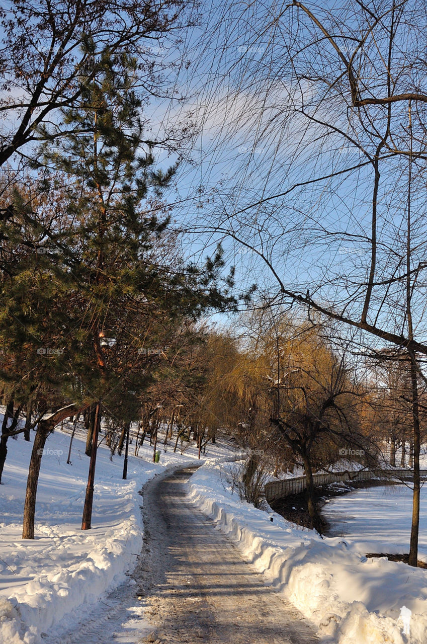 Winter snow path