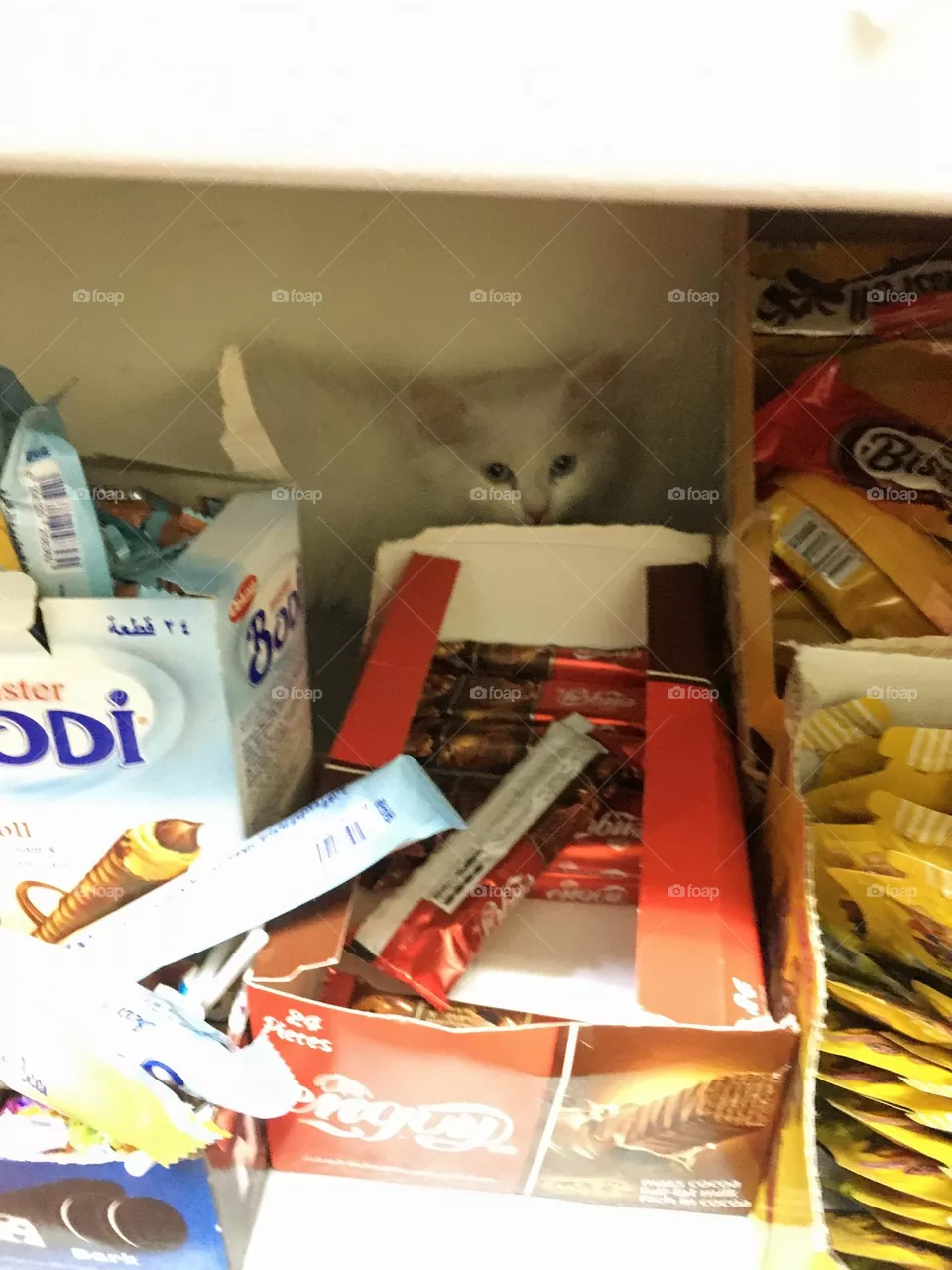 Hidden.