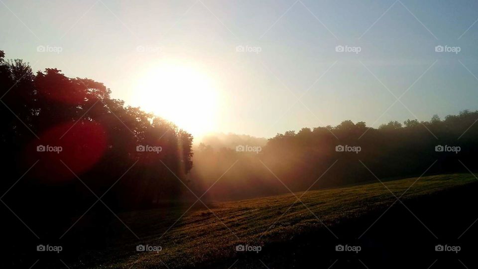 The sun rising over the trees and shining through the fog across a field.
