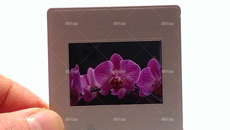 Photographers in Action