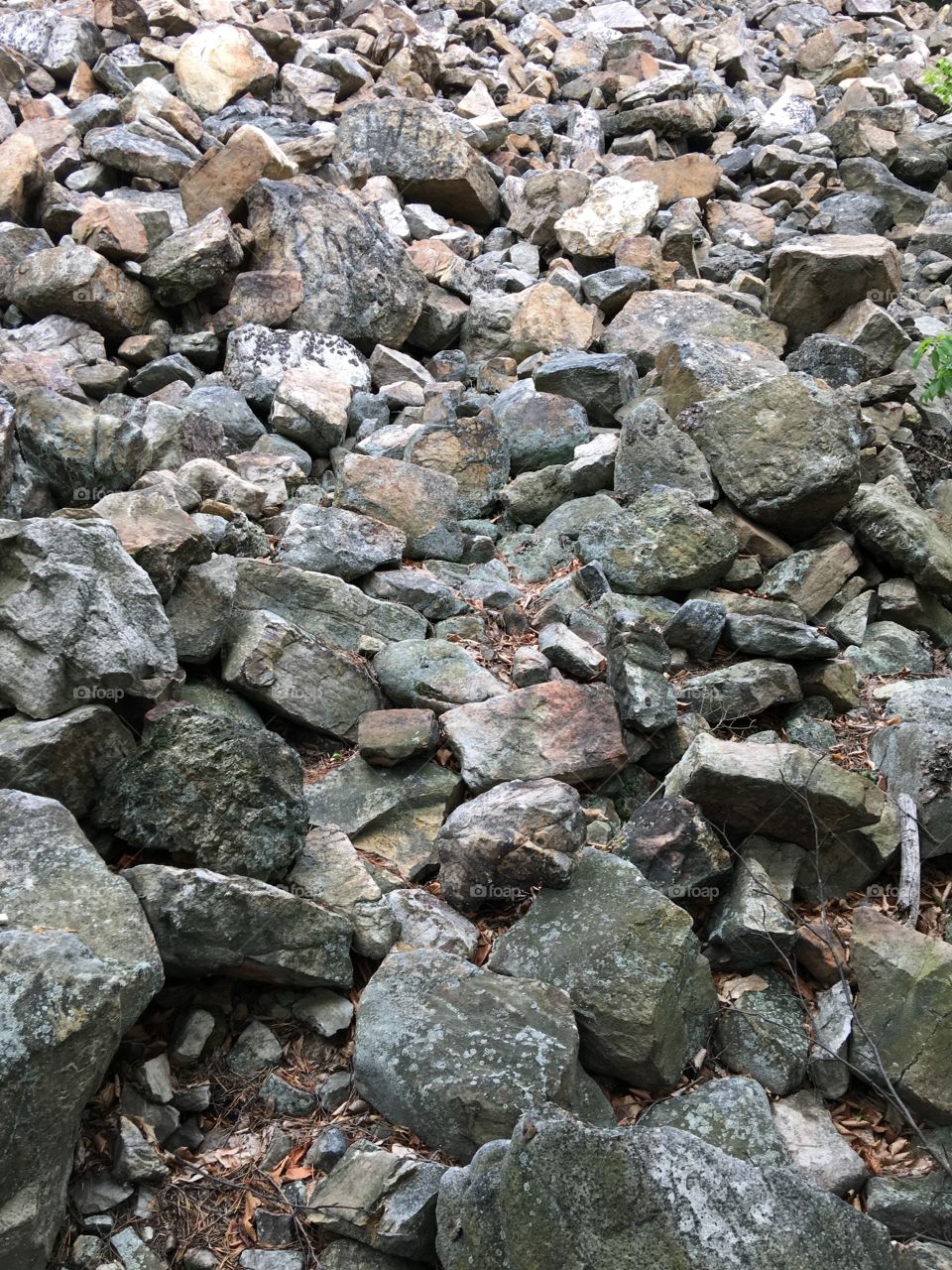 Rocks on a cliff in Pennsylvania.
