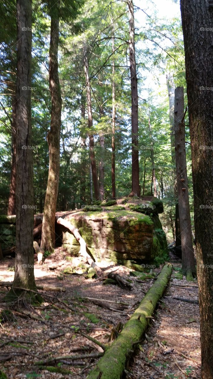 Stone. A walk in the woods reveals large rock formations.