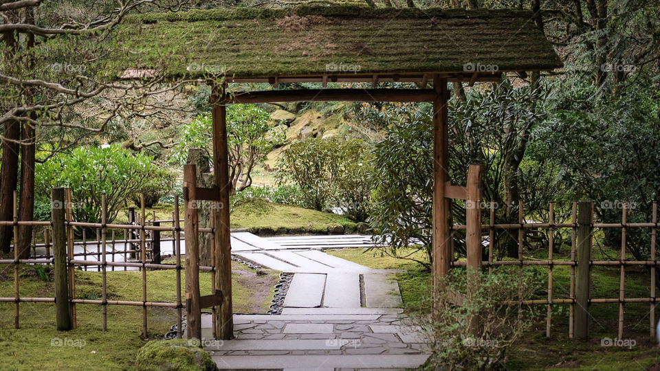 Japanese botanical garden