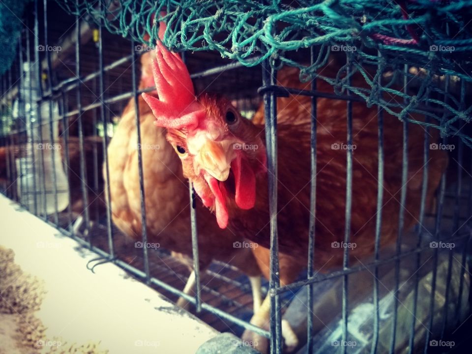 I don't know why she's looking at me