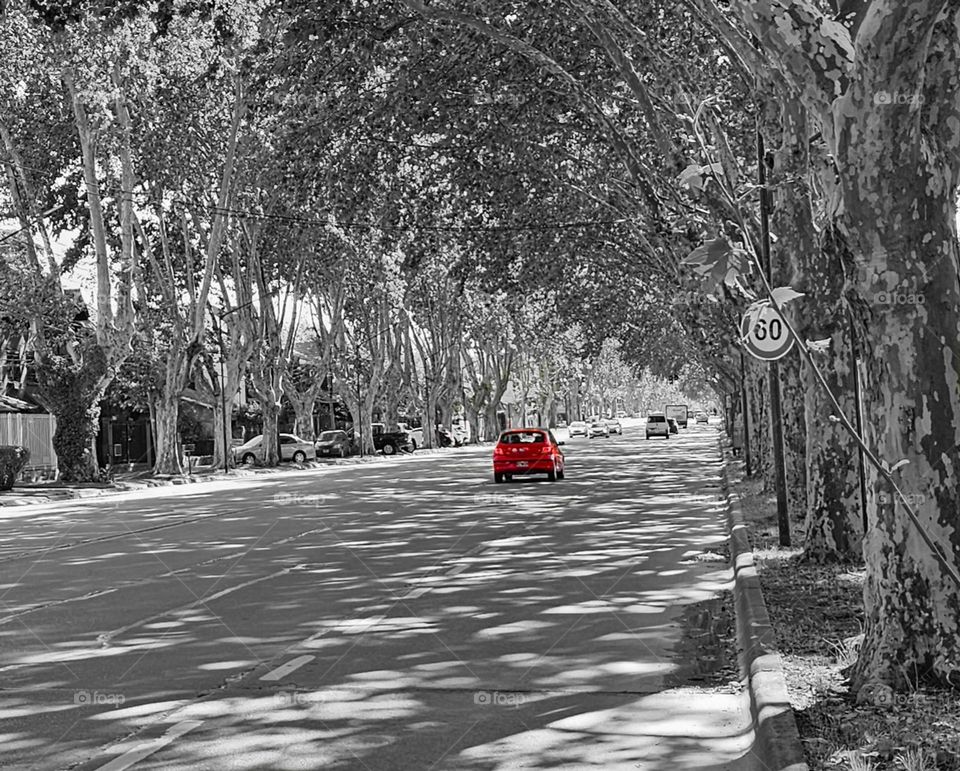 Selective color photo: black and white photo with a splash of color. It makes for an interesting and eye-catching composition.