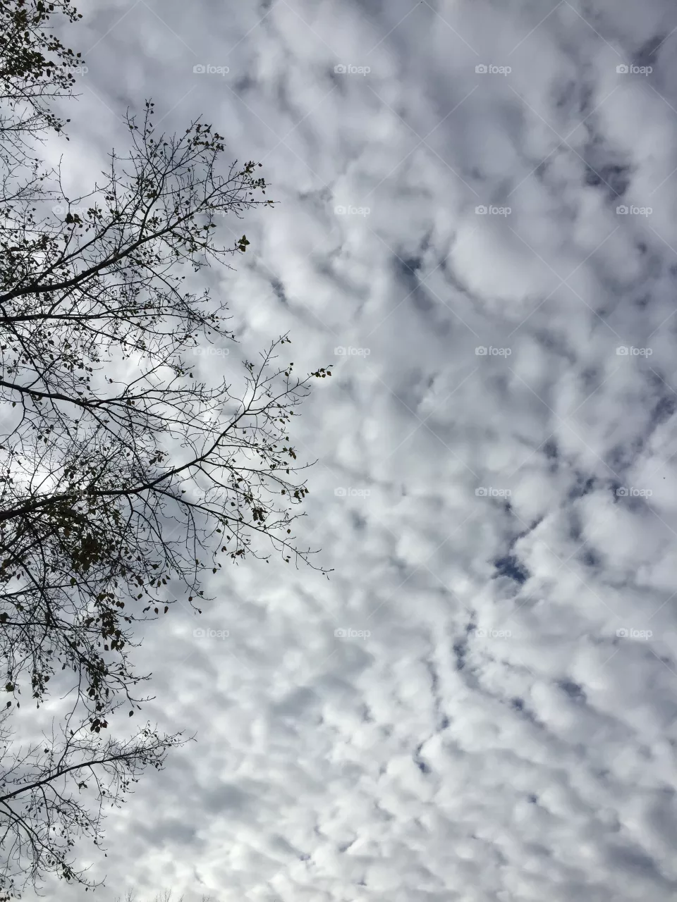 Clouds 