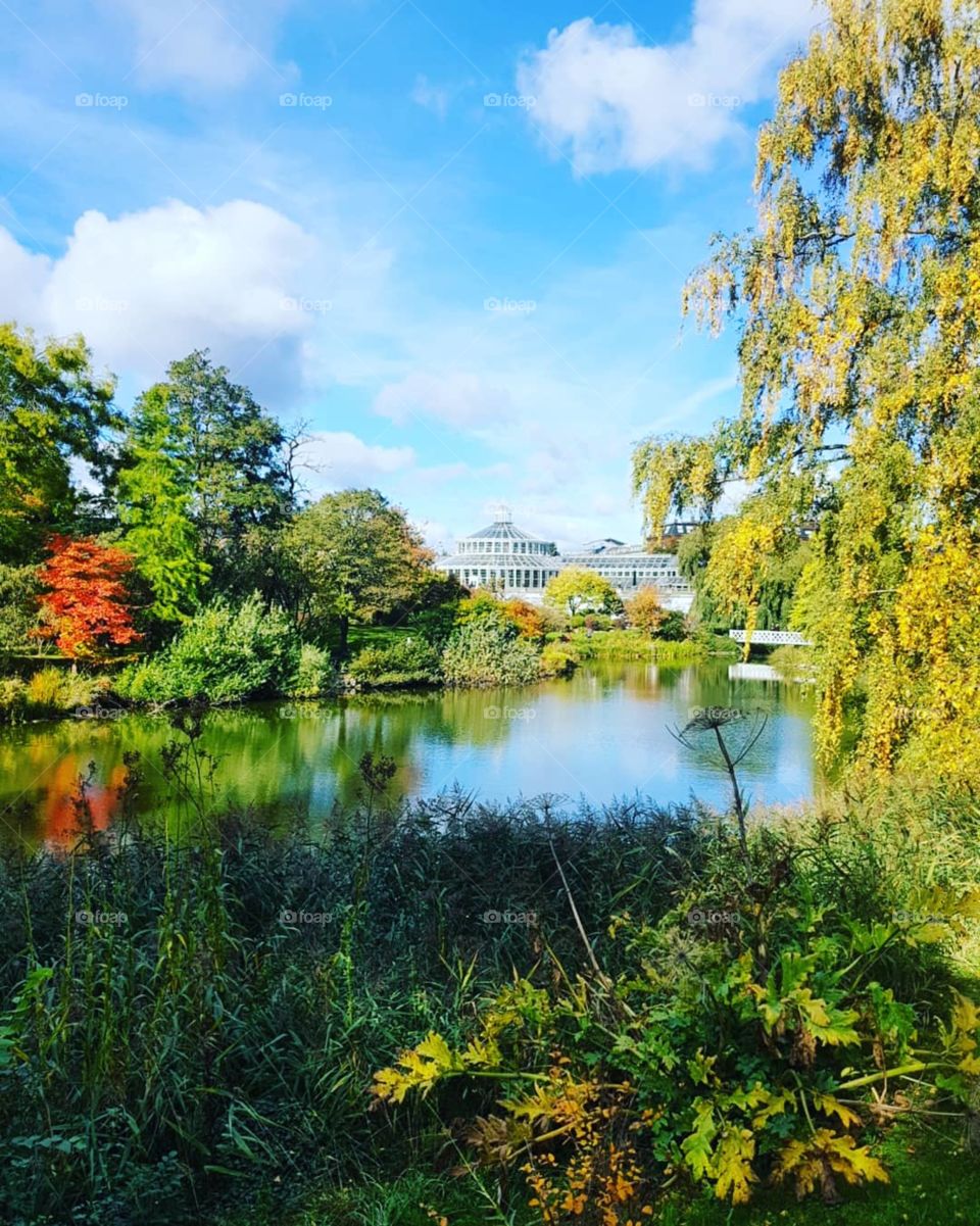 Botanical Gardens, Copenhagen Denmark
