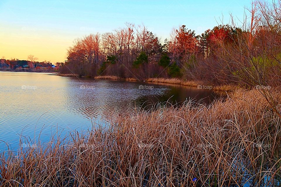 Lake Shore