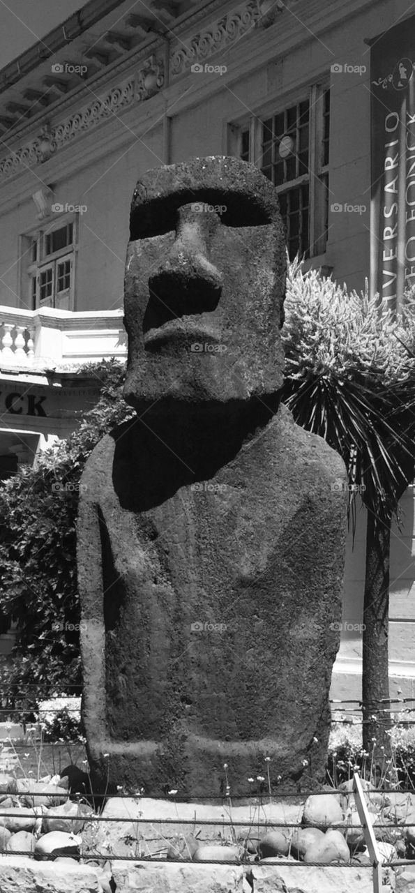 Easter Island statue in Santiago,Chile 