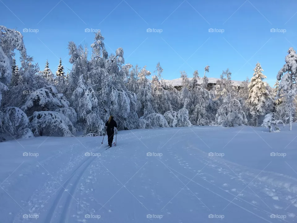 Norway 