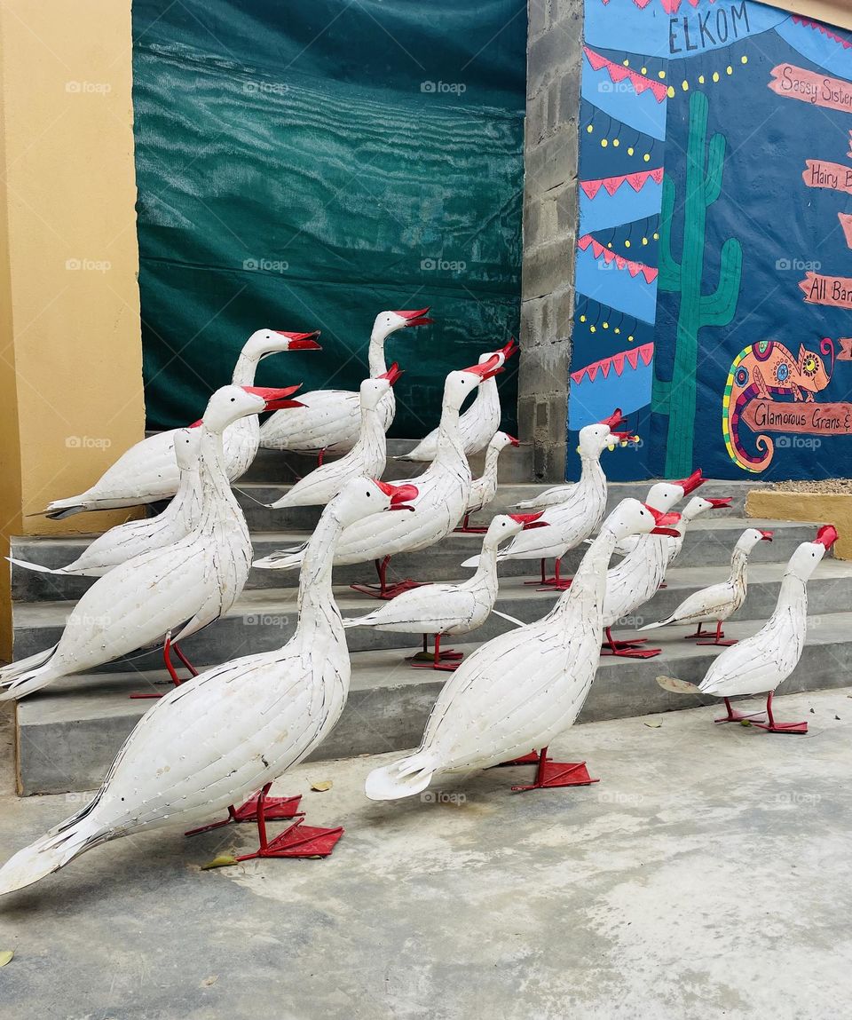 Ducks off to the pond. Art Work!