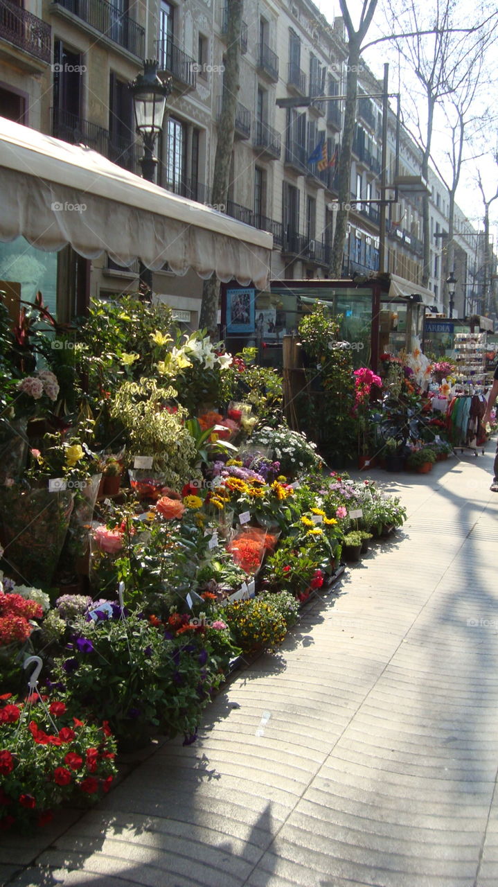Flower market in Paris 