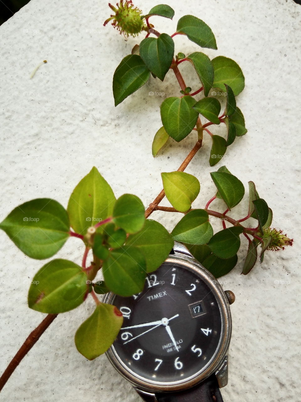 Time for a greener planet