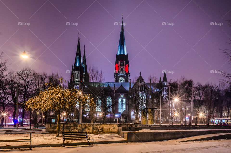 St. Olga and Elizabeth cathedral in Lviv city