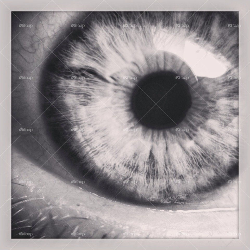 macro eye beautiful black and white by calebjgress