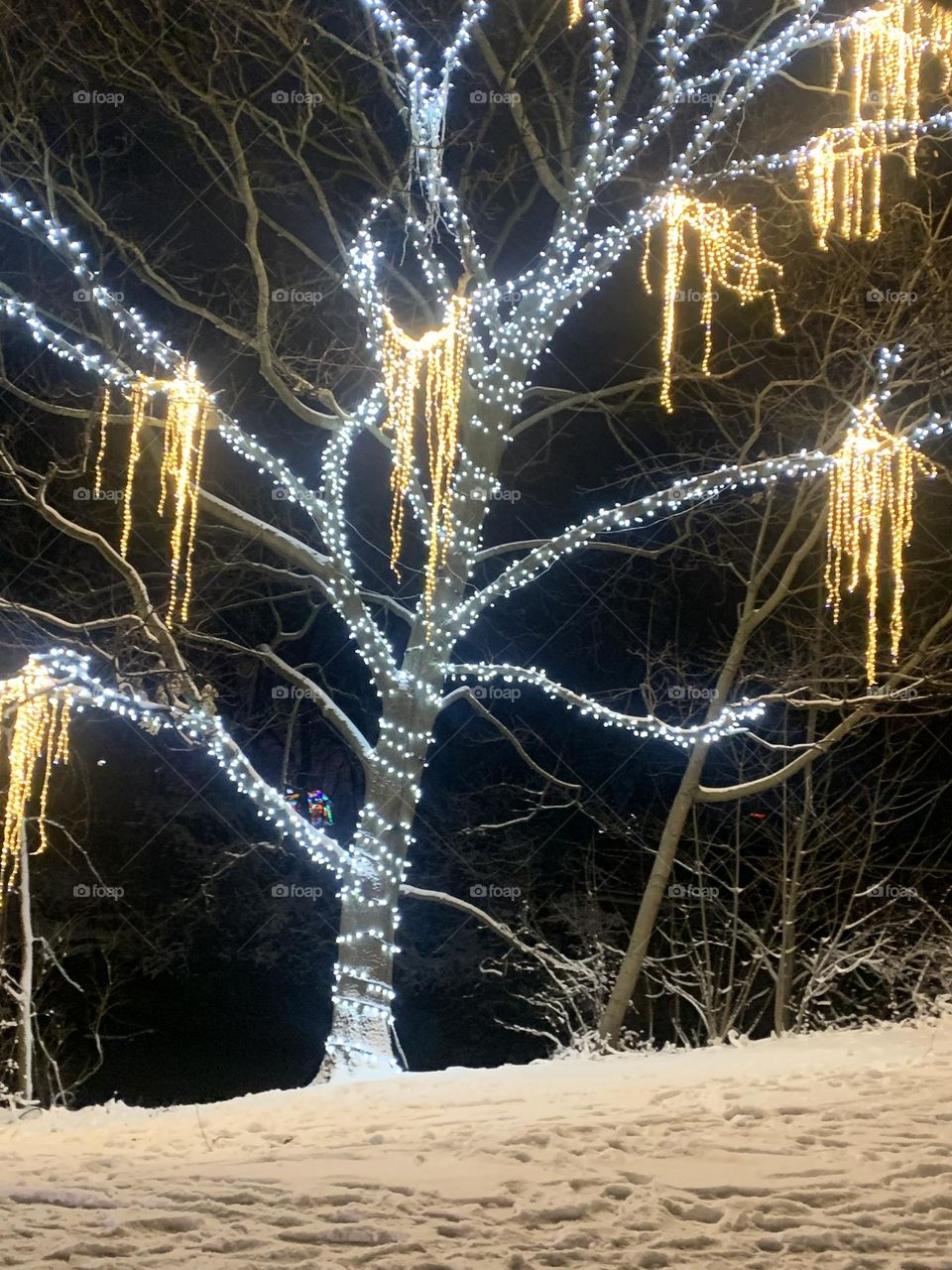 Tree lit up at The Festival of Lights in Niagara Falls, Canada 