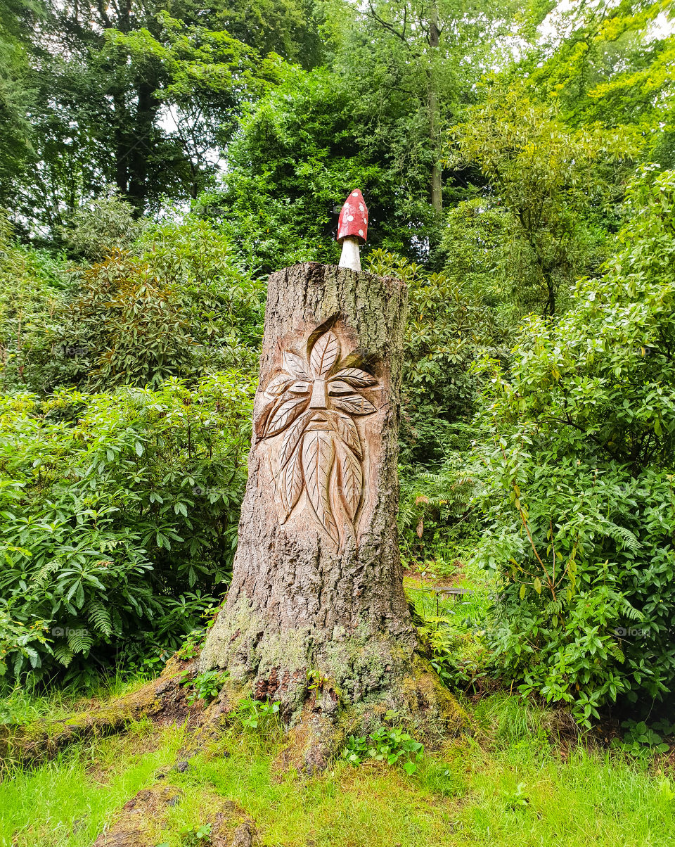 carved tree with toadstool