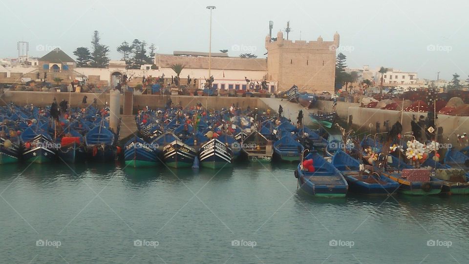 boats moored in harbor.