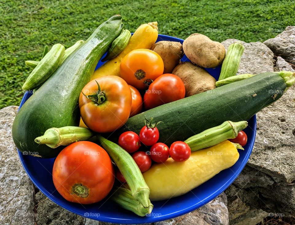 garden produce