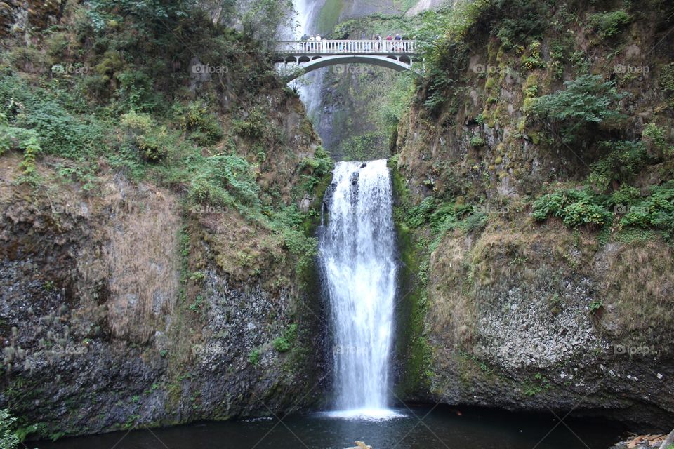 Waterfall, Water, Stream, Wood, Nature