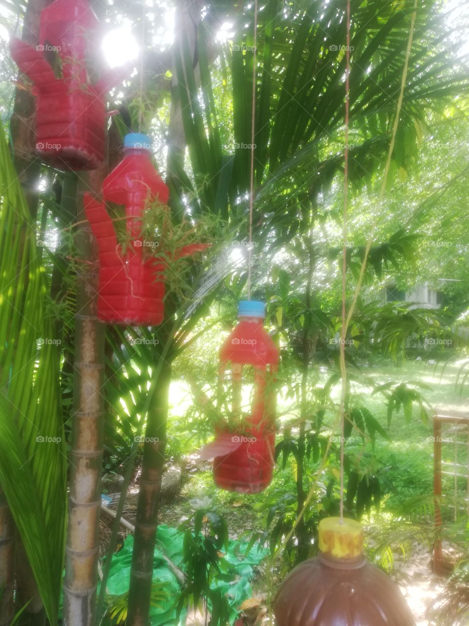 red and recycled and environment