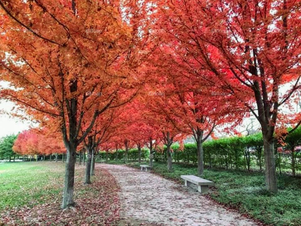 Nature in autumn