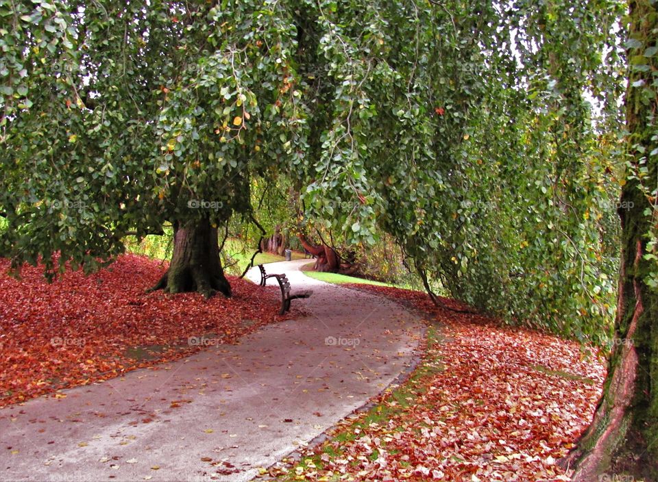 In the park