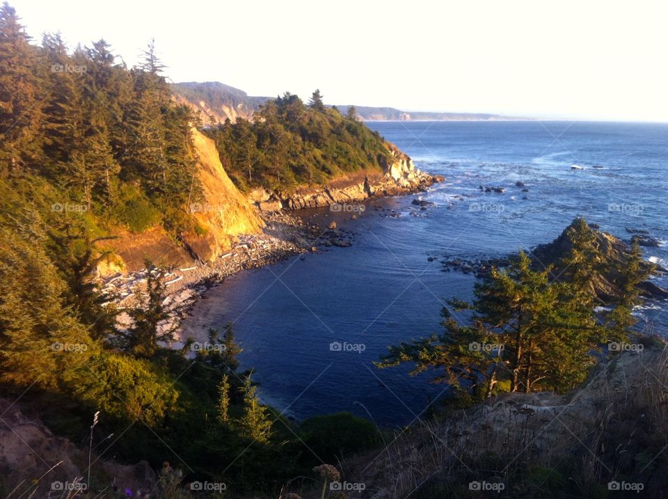 Oregon Coast. Cops Bay, Oregon