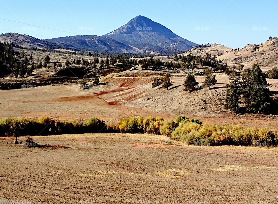  A pasture amongst the multi colored hills and juniper trees in Eastern Oregon on a sunny fall day. 
