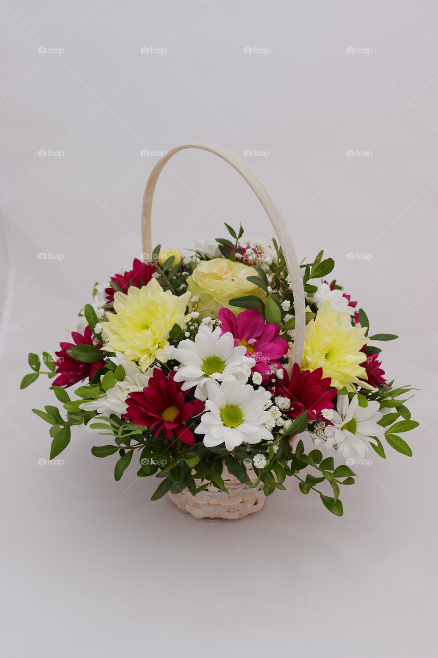 A bright bouquet of red and white gerberas, yellow chrysanthemums, entwined with green sprigs of pistachio tree in a wicker wooden basket.