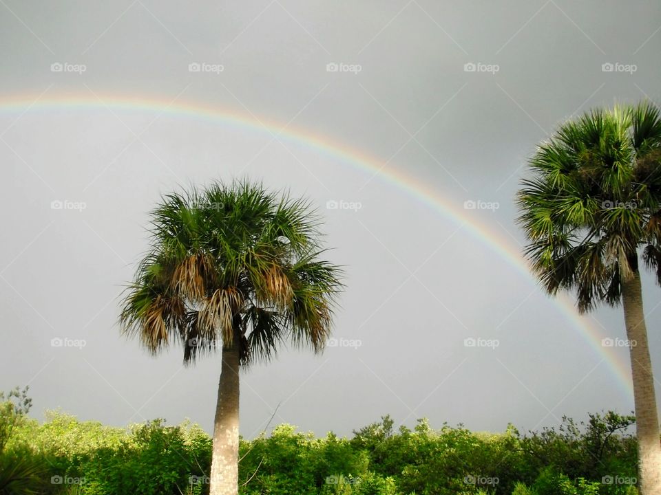 Scenic view of a rainbow