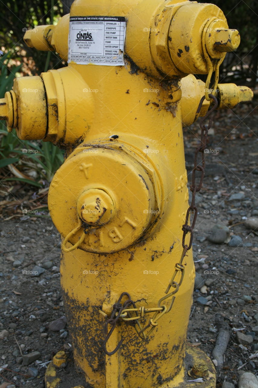 A vibrant, bright yellow often forgotten urban fire hydrant covered with dirt