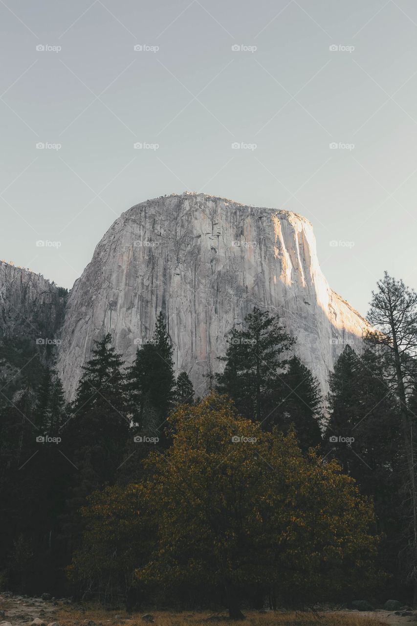 Watch the best exclusive royalty-free photo taken | by Abdul Rahman Exclusive picture of the beauty of nature, buy now the best exclusive picture 2021