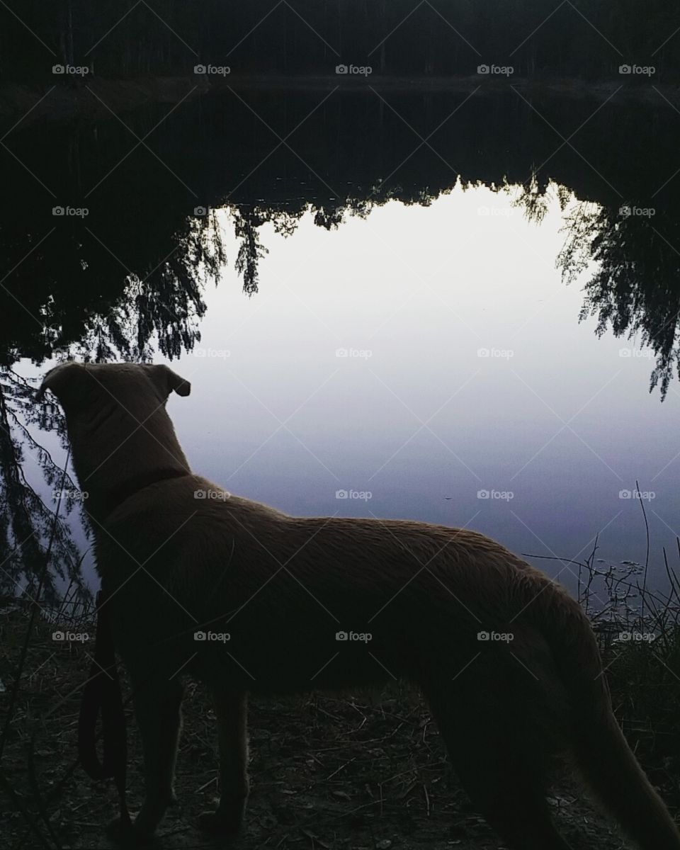 Remi loves this life