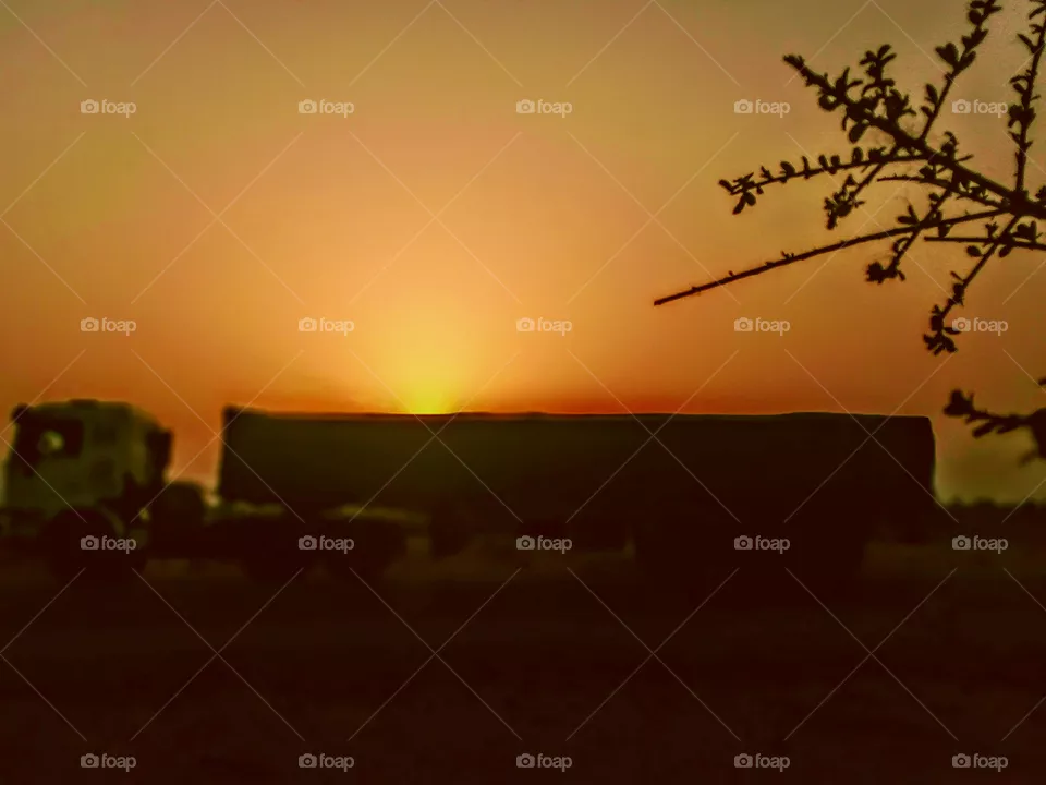 Morning sunrise
#truck#