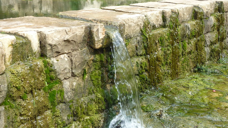 Small waterfall and moss