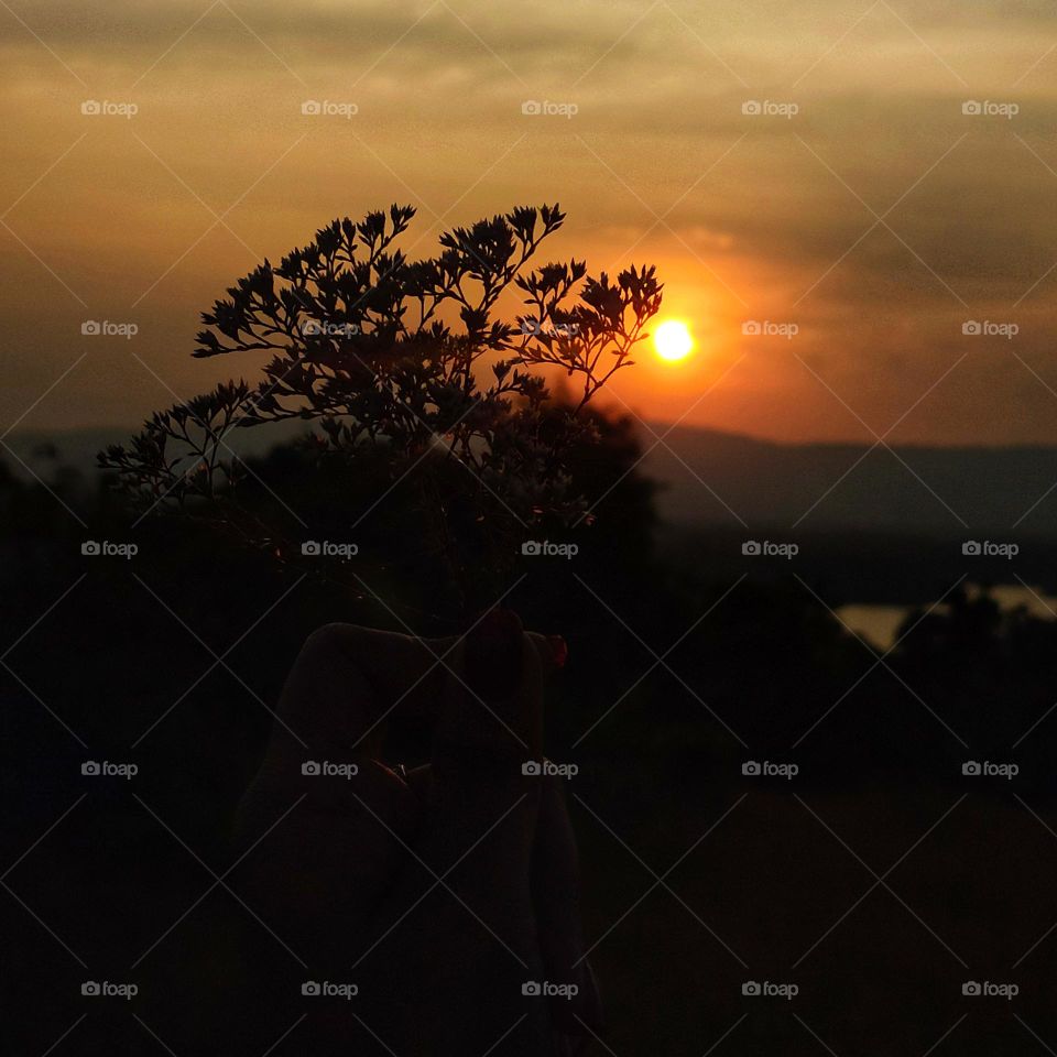 sunset view on a hill🌅